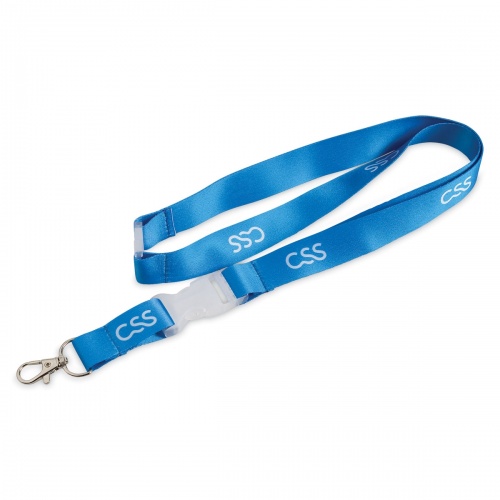 Lanyard