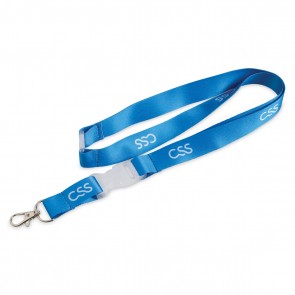 Lanyard